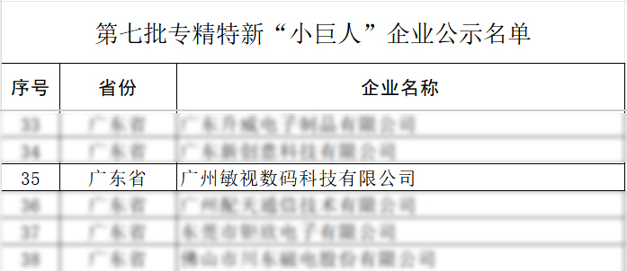 专精特新小巨人